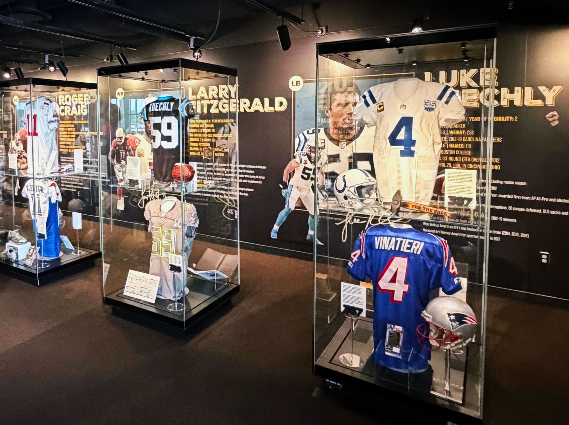 Museum exhibit cases surrounded by layered environmental graphics